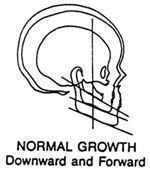 normal growth